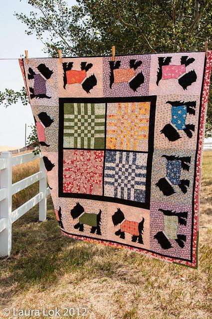 blowing in the wind buggy barn quilt show 2012