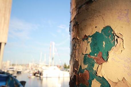 My favourite photos – peeling paint & graffiti