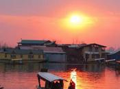 Beauty Kashmir Captured...