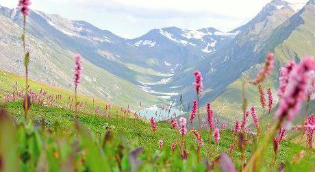 Beauty of Kashmir captured...