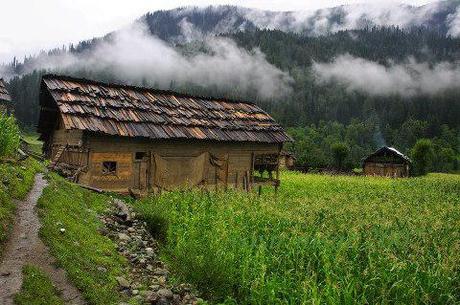 Beauty of Kashmir captured...