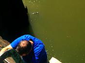 Dad, Climbing Down Gowanus Canal, Right After Picking...