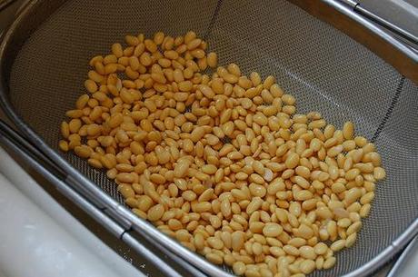 Soy beans protein