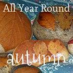 All Year Round Blog Carnival:Autumn