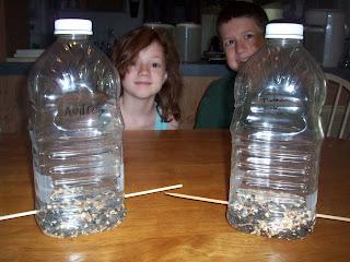 Homemade Birdfeeders