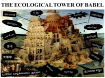 Ecology is a Tower of Babel