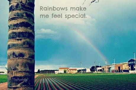 rainbows love special themowway
