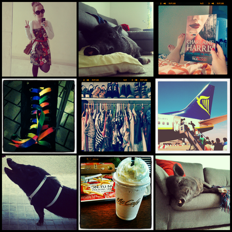 Instaweek