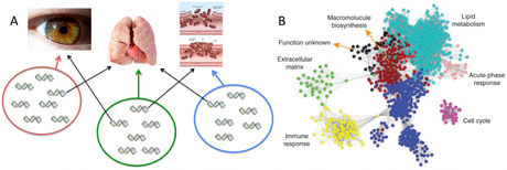 Epistasis in evolution