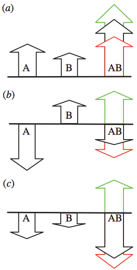 Epistasis in evolution