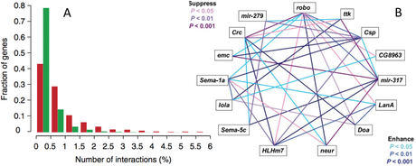 Epistasis in evolution