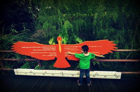 Jurong Bird Park: Shake Ya Tailfeather