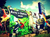 Jurong Bird Park: Shake Tailfeather