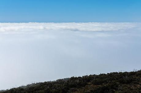cloud layer from mount william summit