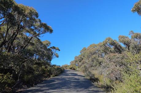 sunny road to mount william