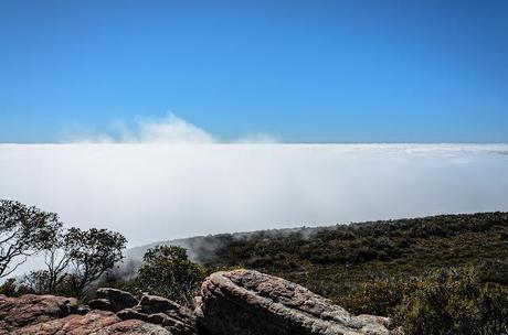 low cloud from mount william summit