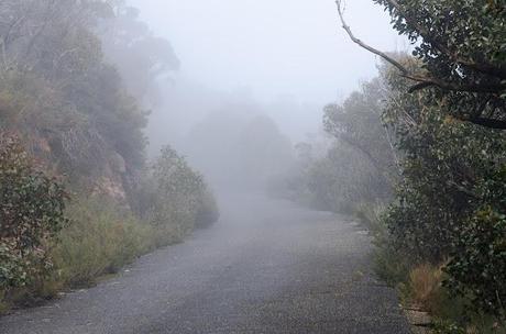 road to mount william covered in low cloud