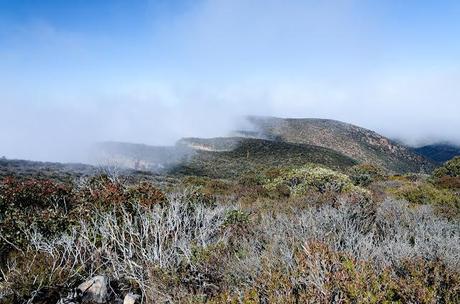 low cloud over major mitchell plateau