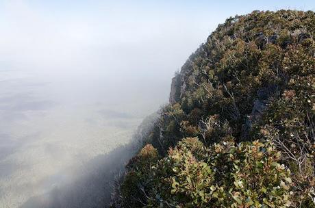low cloud on major mitchell plateau