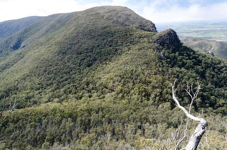descent from mount william to boundary gap