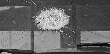 The Great Seattle Windshield Epidemic