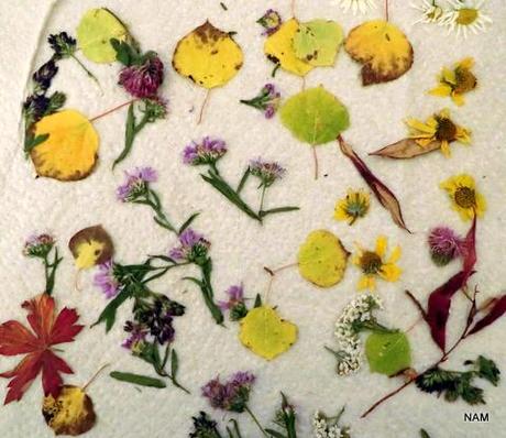 Almost Officially Autumn