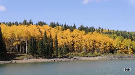 Almost Officially Autumn