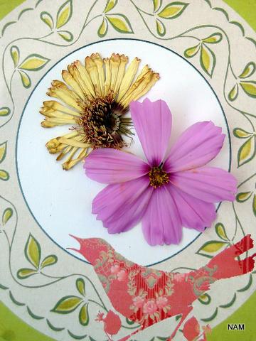 Almost Officially Autumn