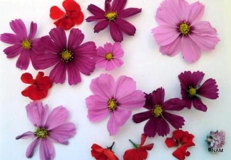 Almost Officially Autumn