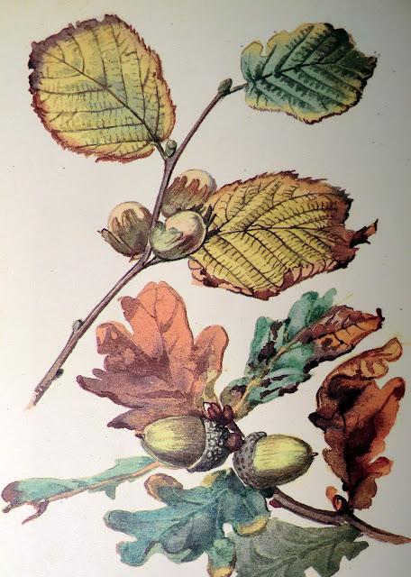 Almost Officially Autumn