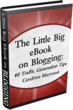 The Little Big eBook on Blogging by Cendrine Marrouat