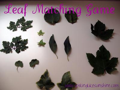 Leaf Matching Game Paperblog