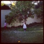 Wordless Wednesday- Fruit Pickin’ Fun