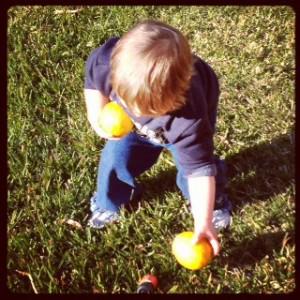 Wordless Wednesday- Fruit Pickin’ Fun