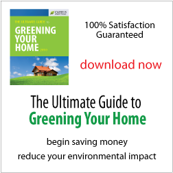 The Ultimate Guide to Greening your Home