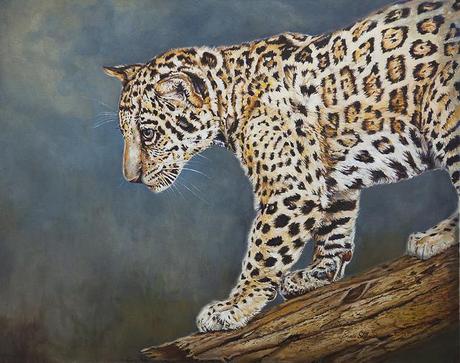 Jaguar Cub by Enzie Shahmiri