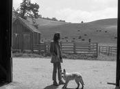 This Profile Neil Young David Carr York Times...