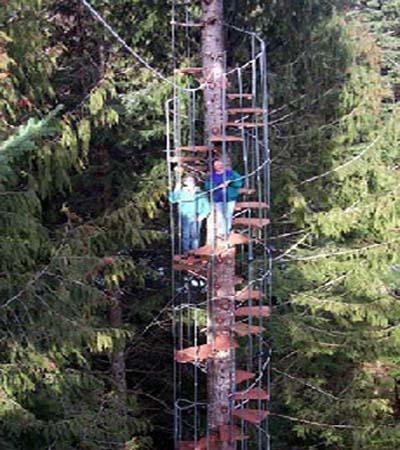 cedar creek spiral staircase1 Eco Day ~ Tree House Hotel Designs HomeSpirations