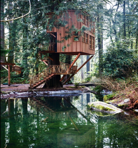 treehouse point Eco Day ~ Tree House Hotel Designs HomeSpirations