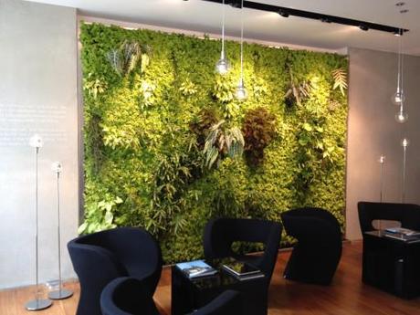 living wall in showroom