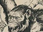 Kubert’s Tarzan Apes: Artist’s Edition September