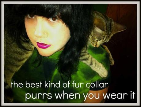 Fur for Thought? Fur for Thought?