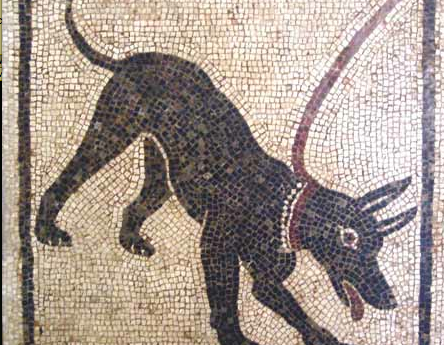 Cave canem