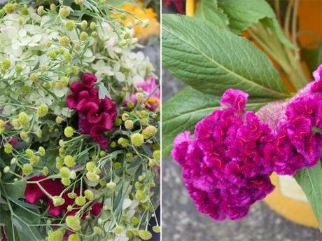 A Farmers Market Stroll (Washington DC)