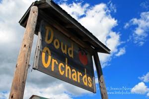 Doud Orchards: Denver, Indiana