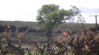 Sat in the pub. In a village. now home