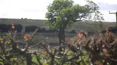 Sat in the pub. In a village. now home