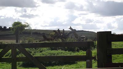 Sat in the pub. In a village. now home