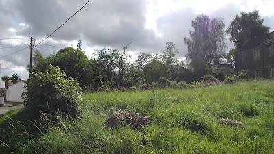 Sat in the pub. In a village. now home