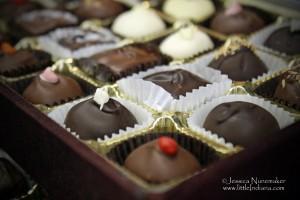 Cocoa Safari Chocolates: Madison, Indiana